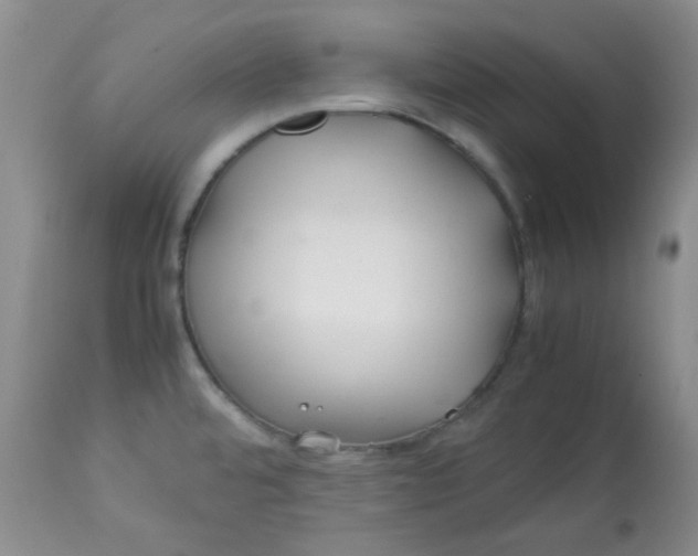 X0000113561480200910091403