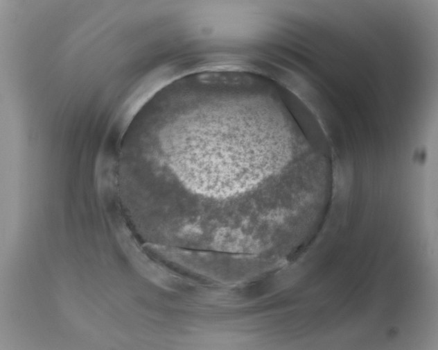 X0000113561481200910091403