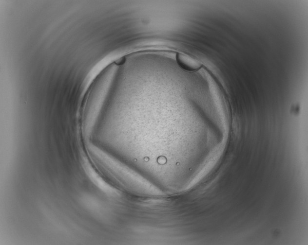 X0000113561482200910091403