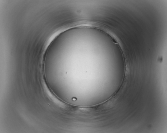X0000113561483200910091403