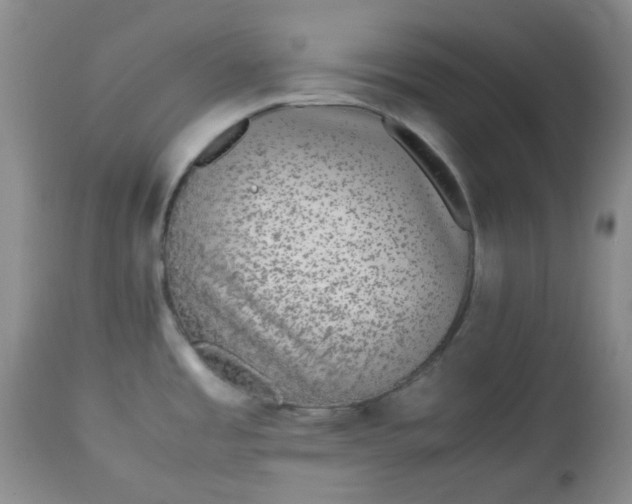 X0000113561485200910091403
