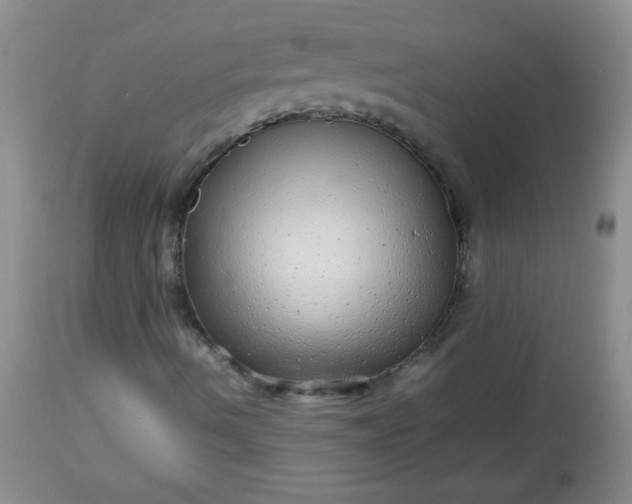 X0000113561490200910091402