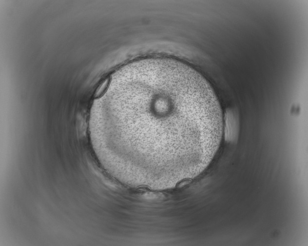 X0000113561491200910091402