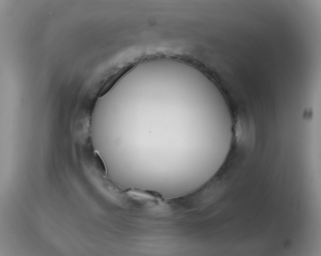 X0000113561492200910091402