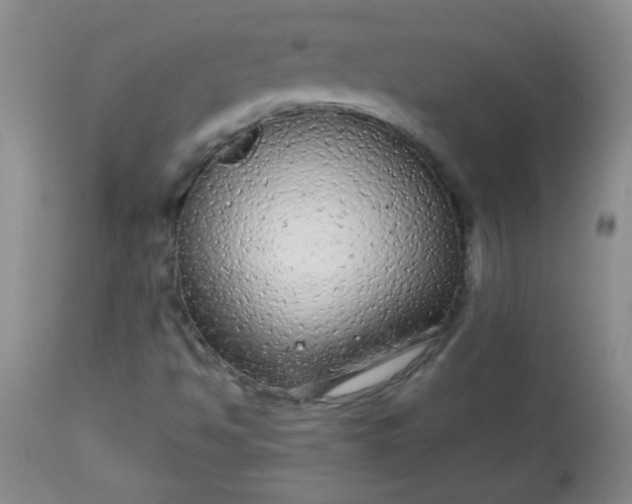 X0000113561494200910091402