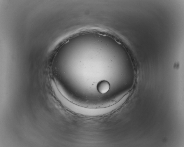 X0000113561496200910091402