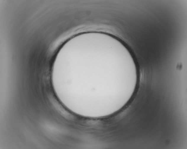 X0000113561498200910091402
