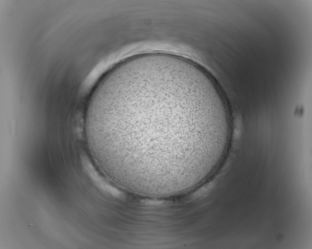 X0000113561499200910091402