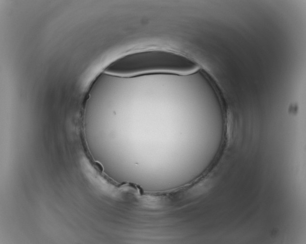 X0000113561500200910091402