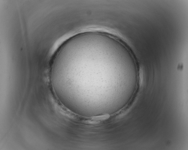 X0000113561501200910091402