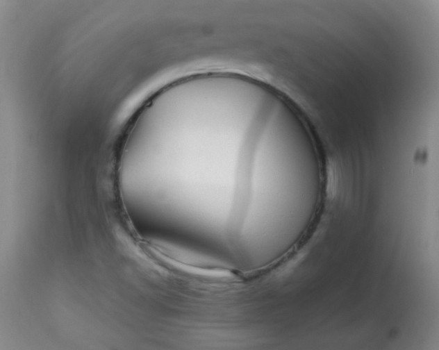 X0000113561502200910091402