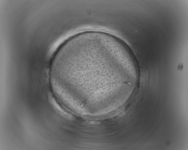 X0000113561503200910091402