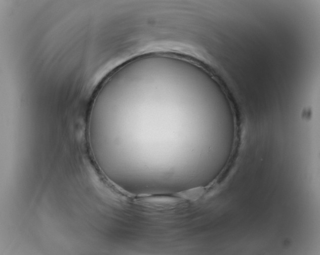 X0000113561505200910091402