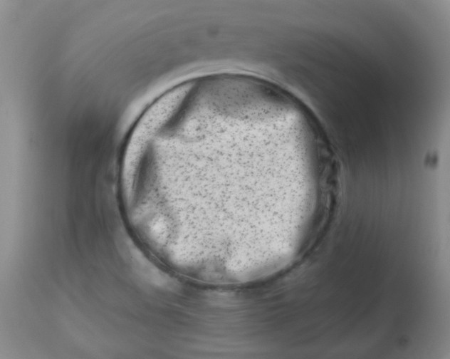 X0000113561508200910091402