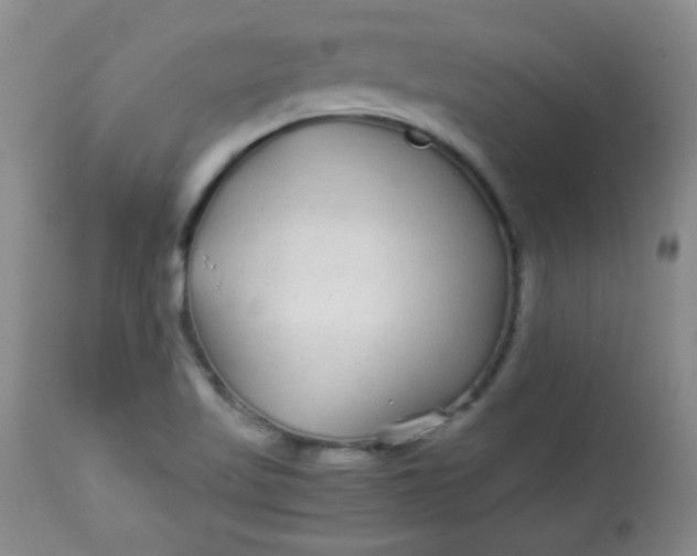 X0000113561509200910091402