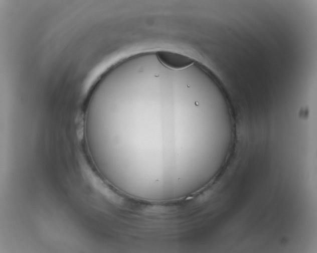 X0000113561510200910091402