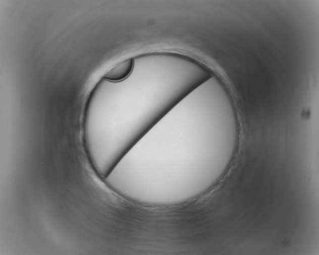 X0000113561512200910091402