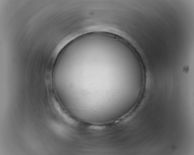 X0000113561513200910091402