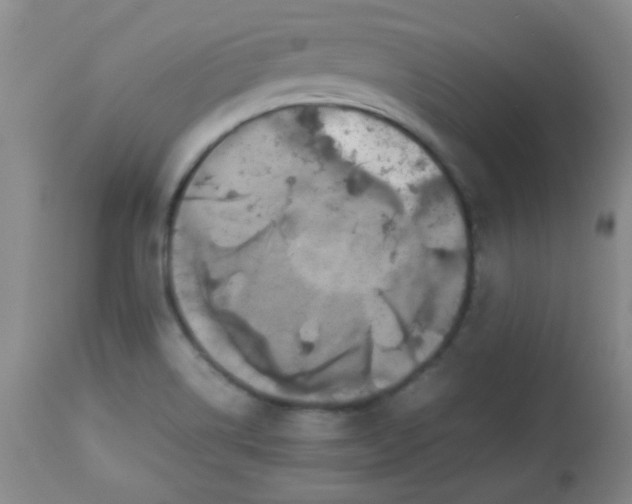 X0000113561514200910091402