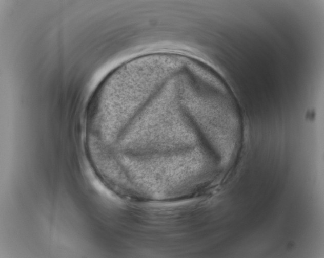 X0000113561515200910091402