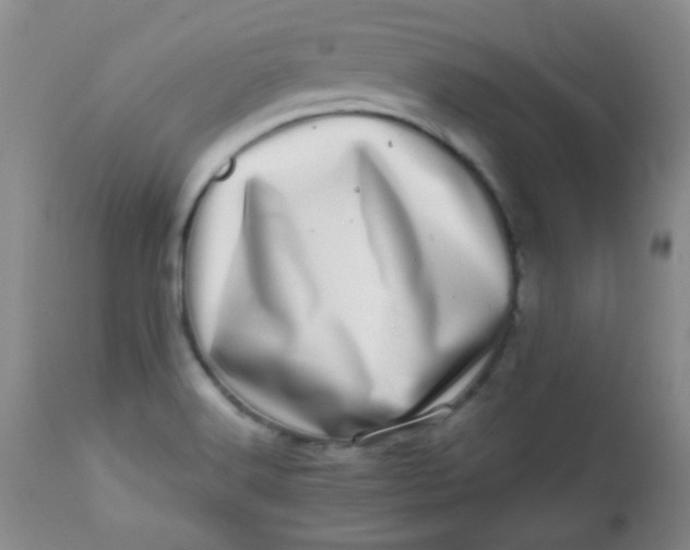 X0000113561516200910091402