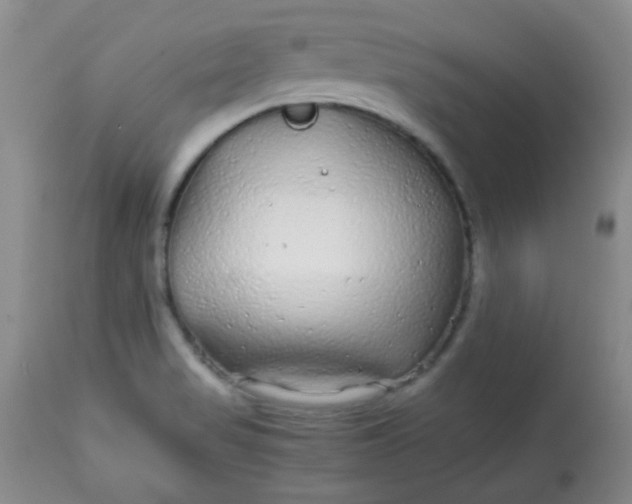 X0000113561517200910091402