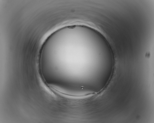 X0000113561518200910091402