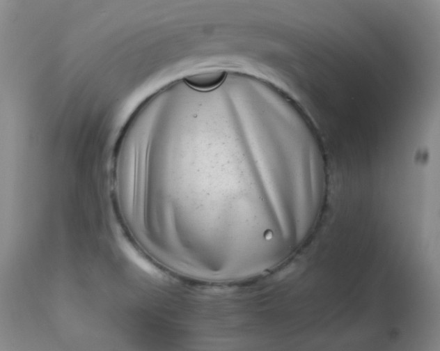 X0000113561519200910091402