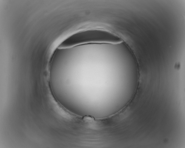 X0000113561520200910091402