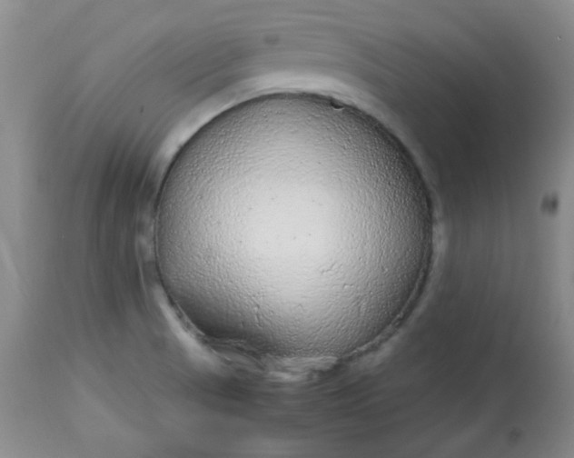 X0000113561521200910091402