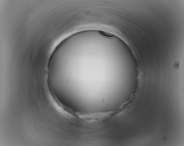 X0000113561523200910091402
