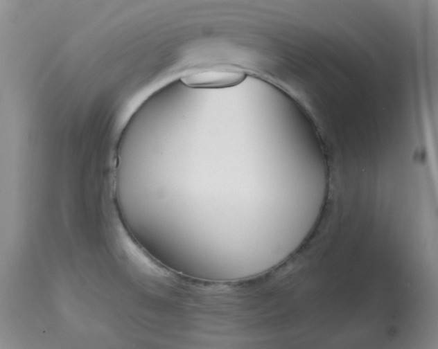 X0000113561524200910091402