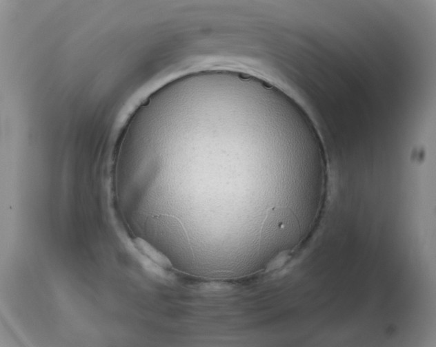 X0000113561525200910091402