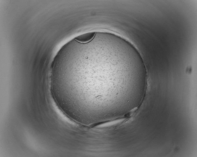 X0000113561526200910091402