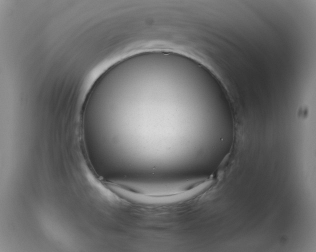 X0000113561527200910091402