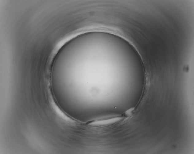 X0000113561531200910091403