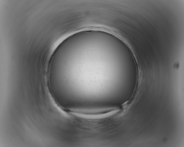X0000113561533200910091403