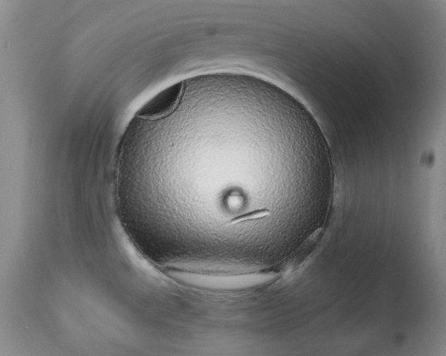 X0000113561534200910091403