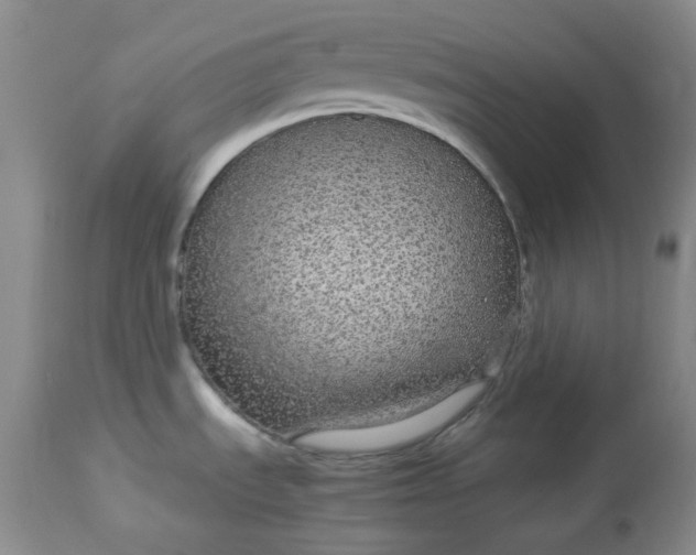 X0000113561535200910091403