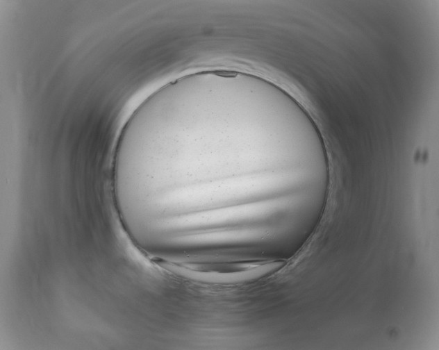 X0000113561536200910091403