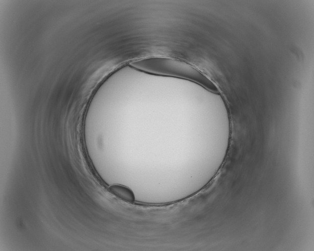 X0000113560001200910161506