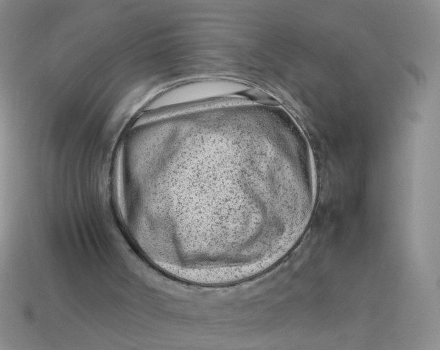 X0000113560002200910161506