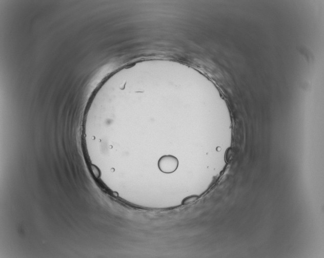 X0000113560003200910161506
