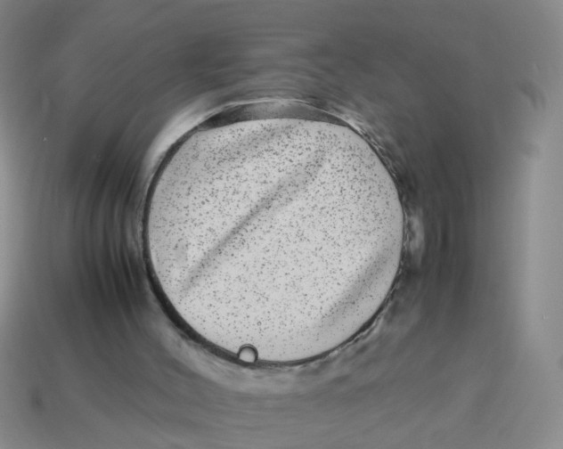 X0000113560004200910161506