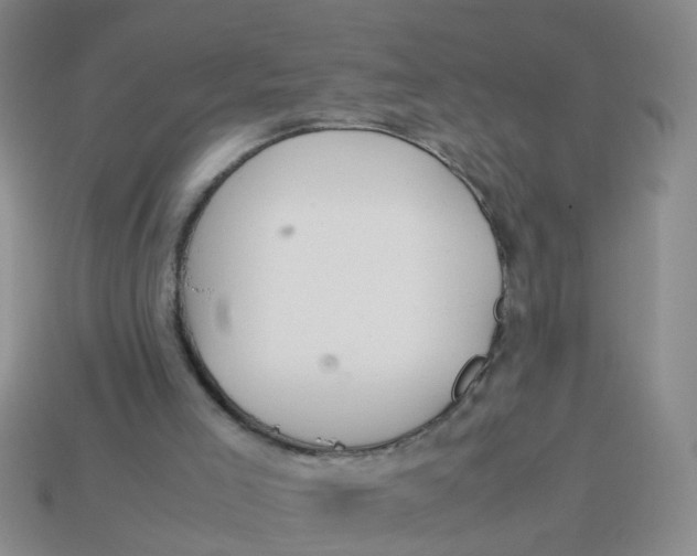 X0000113560005200910161506