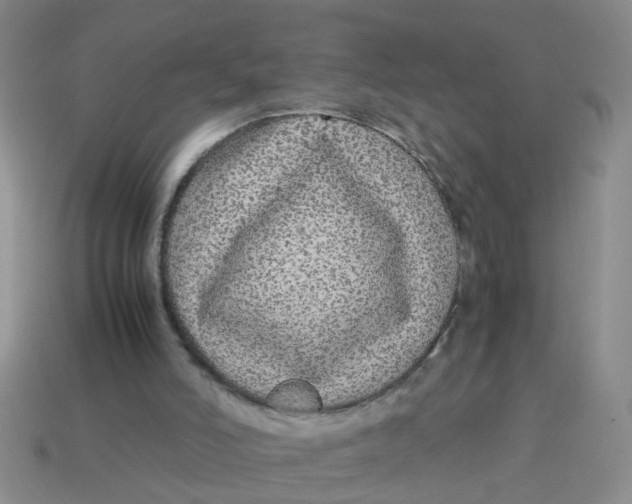 X0000113560006200910161506