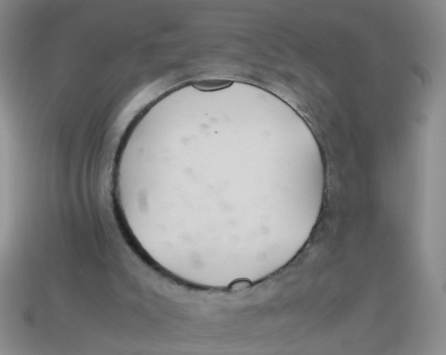 X0000113560007200910161506