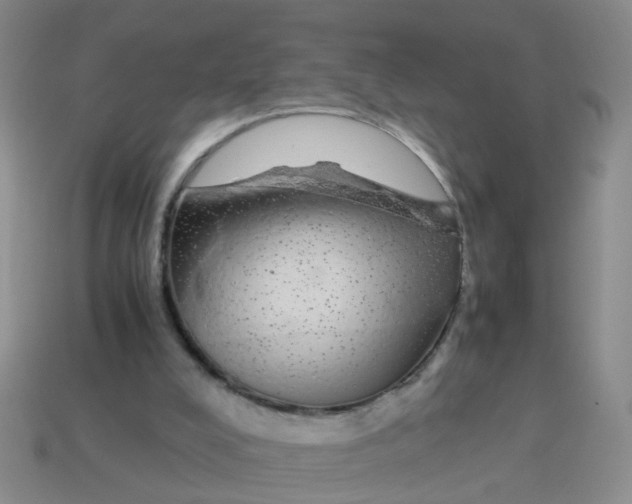 X0000113560008200910161506