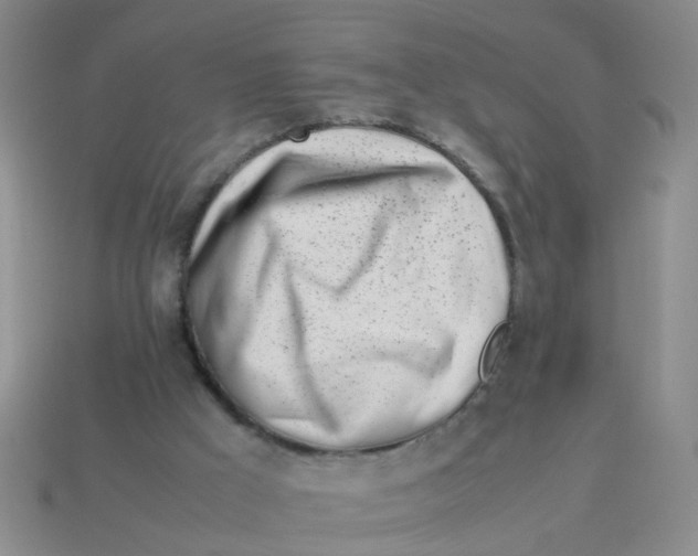 X0000113560009200910161506