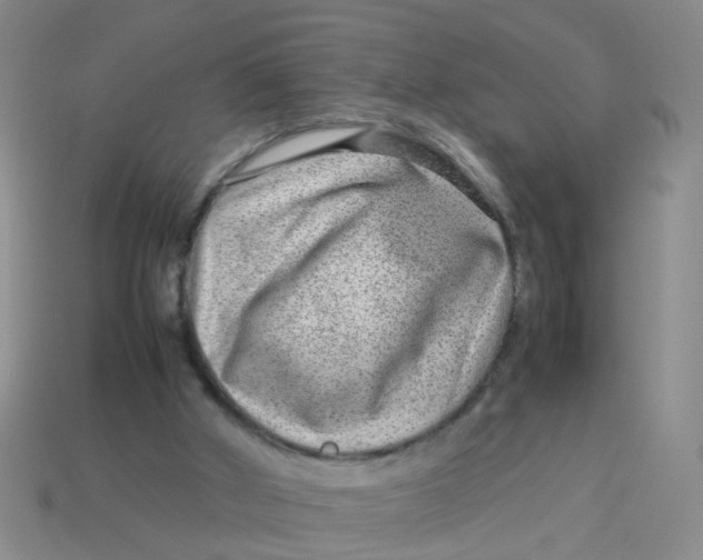 X0000113560010200910161506